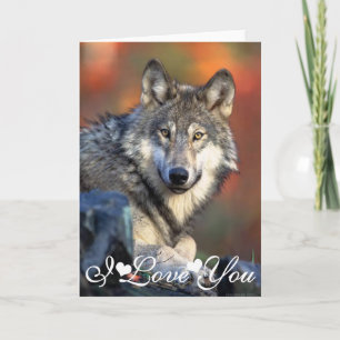 Cartão Imagem de Fotografia de Lobo Eu Te Amo