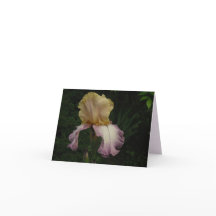 Imagem Floral do Creme Purple Iris