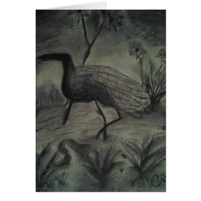 Cartão Imagens tiradas mão para todas as ocasiões (Frente)