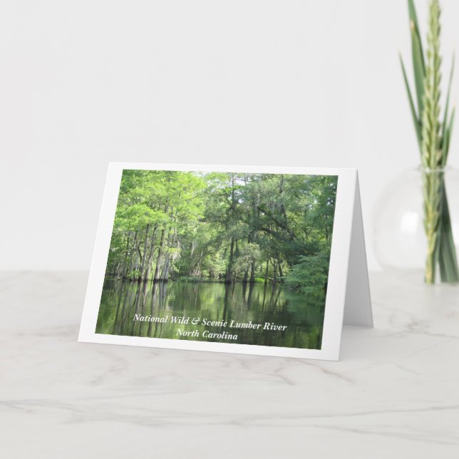 Cartão Img_0027, Rio de madeira nacional selvagem e cênni (Frente)