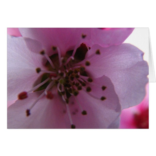 CARTÃO IMG_0037_3 (Frente Horizontal)