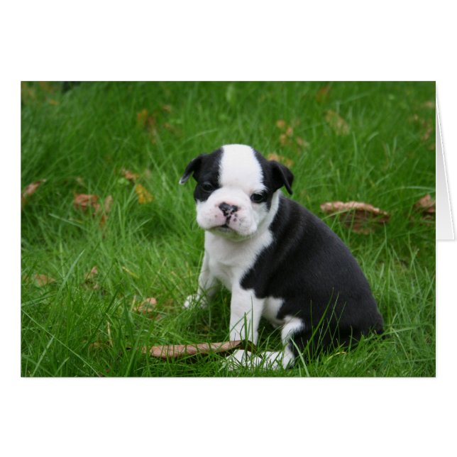 CARTÃO IMG_1665 (Frente Horizontal)