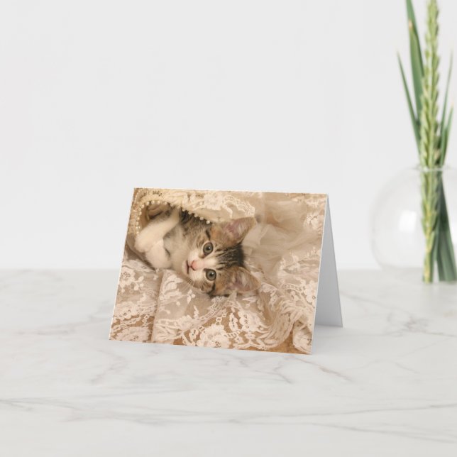 Cartão IMG_4121_-_Marygold_-_cropped - 5x7 (Frente)