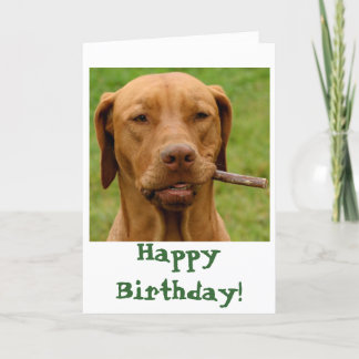 Cartão IMG_6106Fo'get About It!, Parabéns!