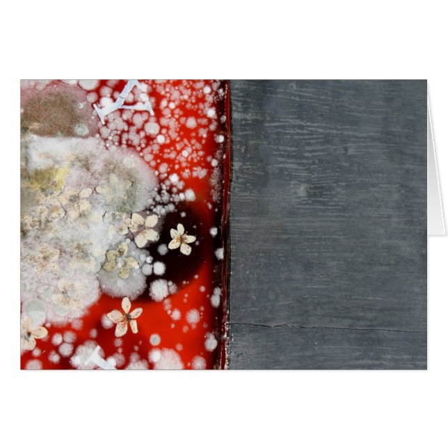 Cartão Imortalidade 2 (Frente Horizontal)