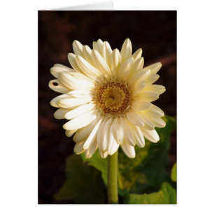 Cartão Imperfeições Percebidas