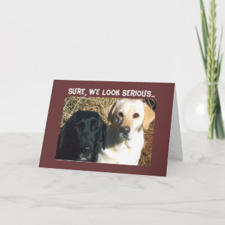 CARTÃO IMPLORAR POR PETISCOS LOGO BOAS-VINDAS