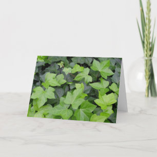 Cartão Impressão de Botânica de Ivy Verde