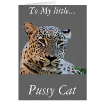 Impressões de leopardo