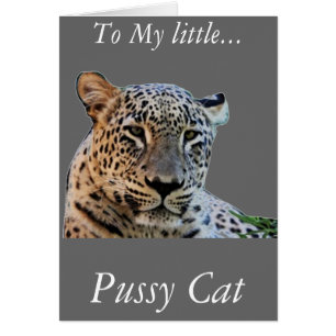 Cartão Impressões de leopardo