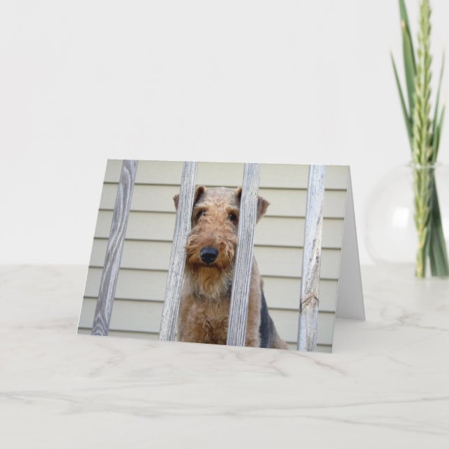 Cartão In the Doghouse Card (Frente)