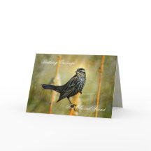 In the Limelight Birthday Greeting Card