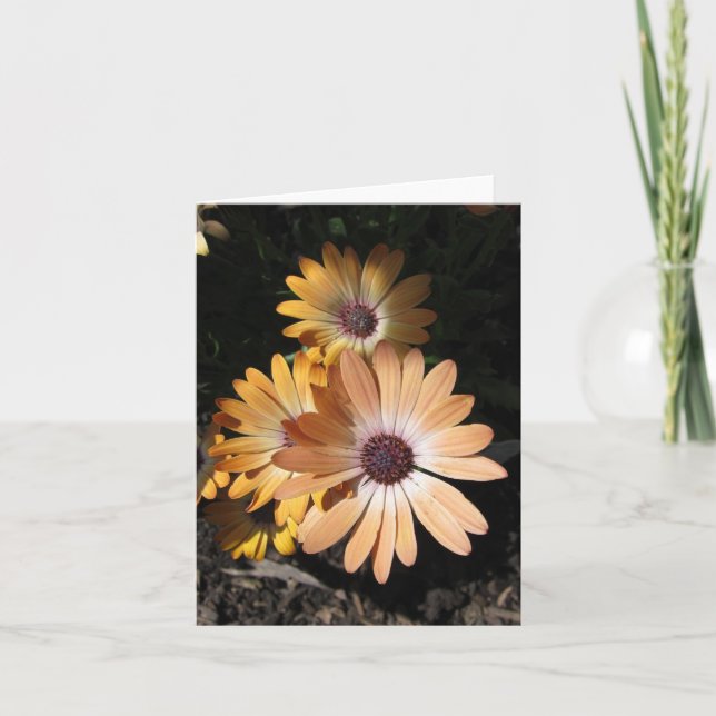 Cartão In the Pale (Frente)