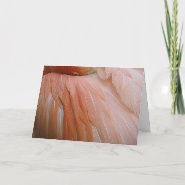 Cartão In the Pink (Frente)