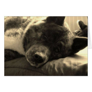 Cartão Inca cansado