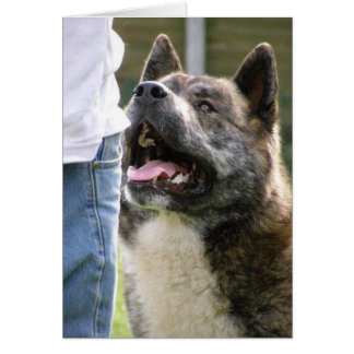 Cartão Inca procurando