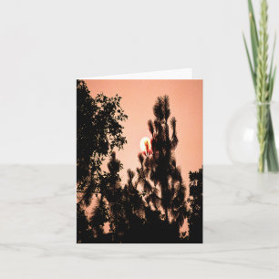 Cartão Incêndio no Vale do Índio.....