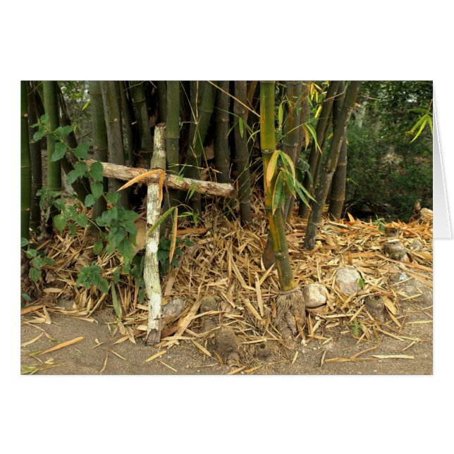 Cartão inclinação cruzada em bambu (Frente Horizontal)