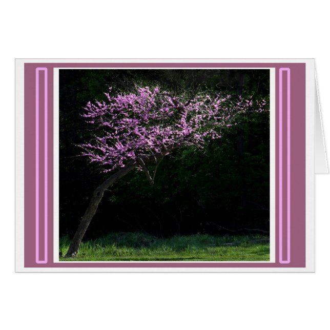 Cartão Inclinação para Primavera (Frente Horizontal)