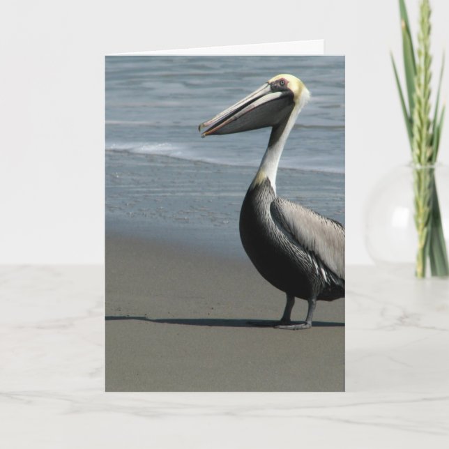 Cartão Incredi-Bill Birthday (Frente)