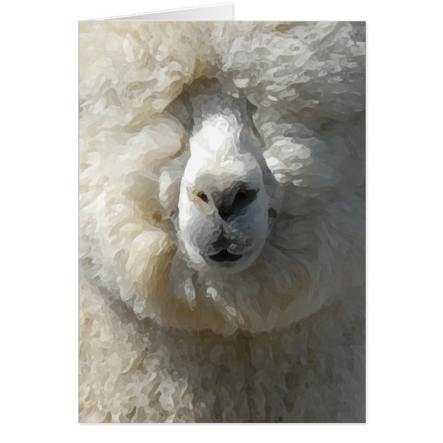 Cartão Incrível Gandalf, a alpaca (Frente)