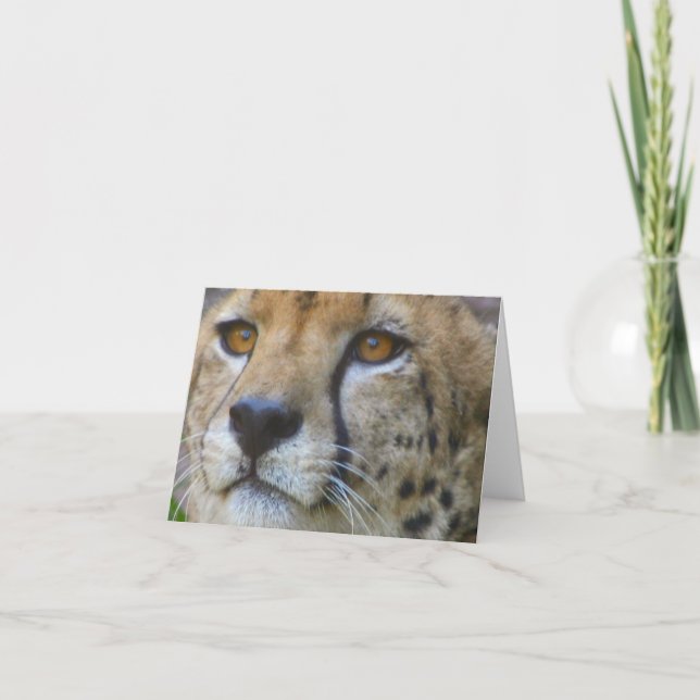 Cartão indefinido (Frente)