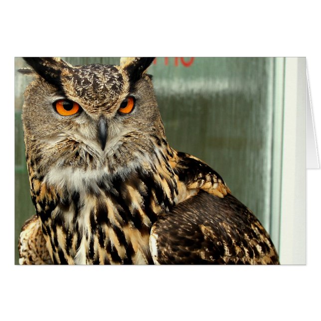 Cartão indefinido (Frente Horizontal)