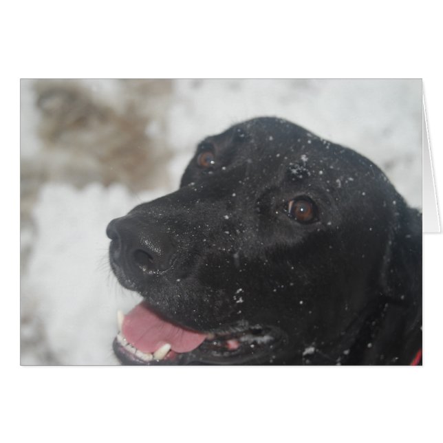 Cartão indefinido (Frente Horizontal)