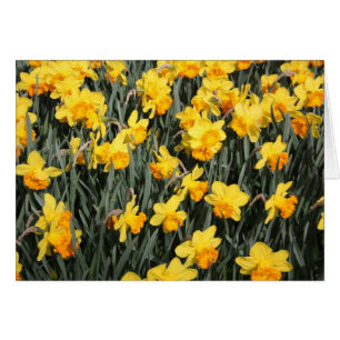 Cartão indeterminado