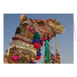 Cartão ÍNDIA, Rajasthan, Pushkar: FEIRA DE CAMELÔS DE PUS
