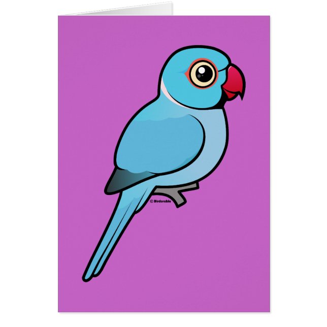 Cartão Indiano azul Ringneck (Frente)