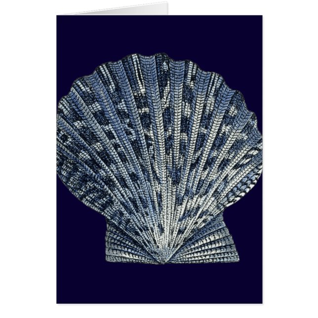Cartão Indigo Shells VIII (Frente)