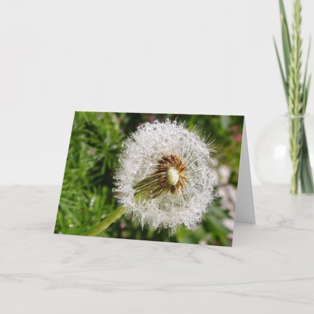 Cartão Indo para a Sementes (Frente)