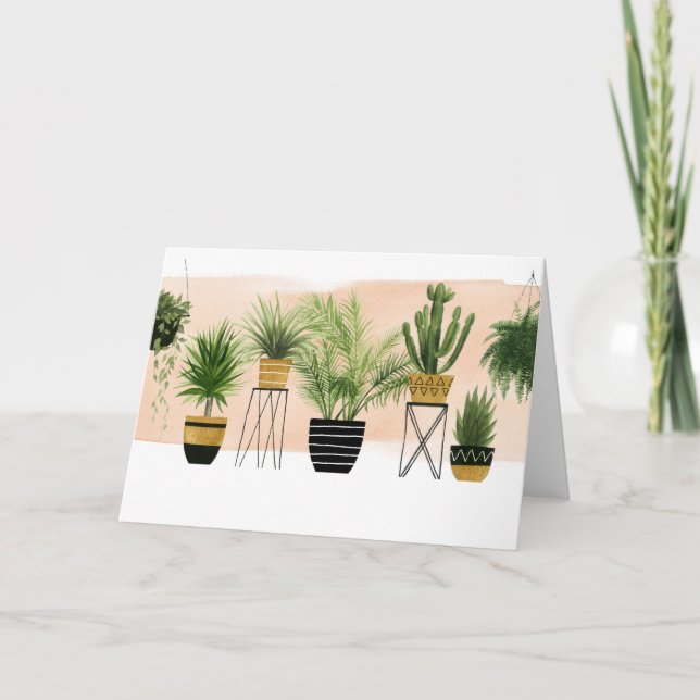 Cartão Indoor Oasis Collection (Frente)