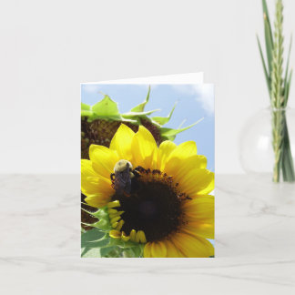 Cartão "Indústria de Pacientes"