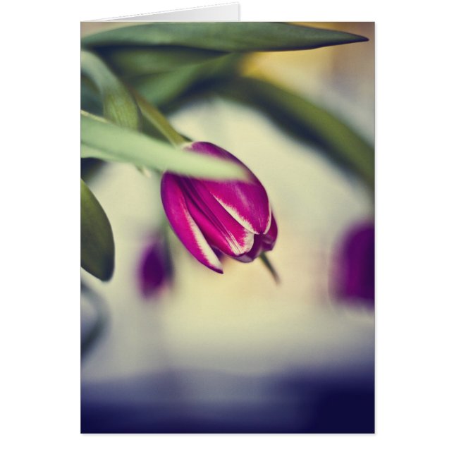 Cartão infinito do amor vazio (Frente)