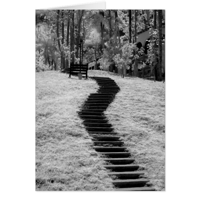 Cartão Infra vermelho de árvores edifícios e trilhas em L (Frente)