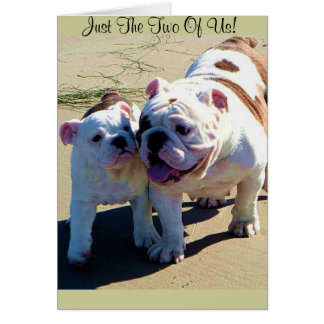 Cartão Inglês Bulldog Apenas Nós Dois!