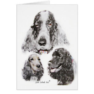 Cartão Inglês cocker spaniel