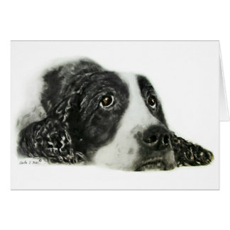 Cartão Inglês Springer Spaniel