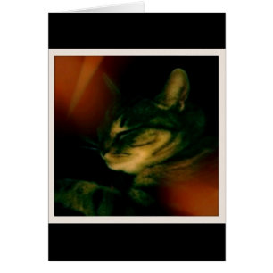 Cartão íngo Naptime Closeup