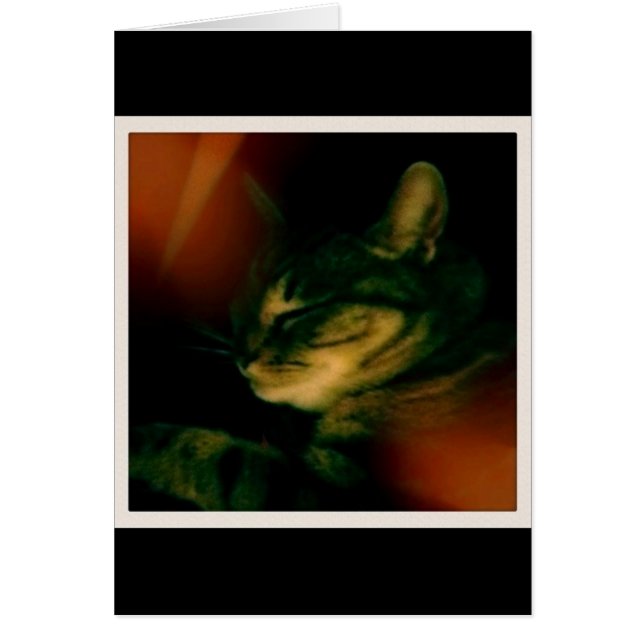 Cartão íngo Naptime Closeup (Frente)