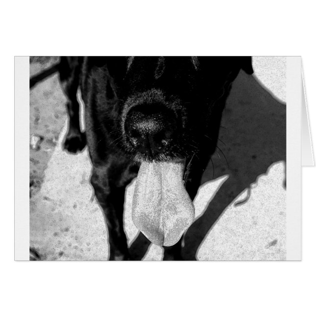 Cartão Inky Lulu (Frente Horizontal)