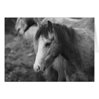 Cartão Innocência por CatMac