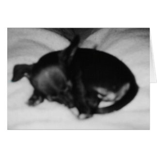 Cartão Inocência do sono