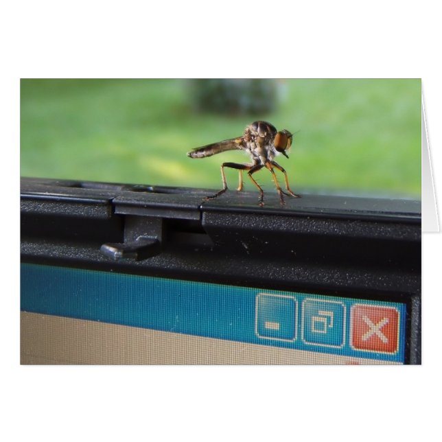 Cartão Inseto na placa ~ do sistema (Frente Horizontal)