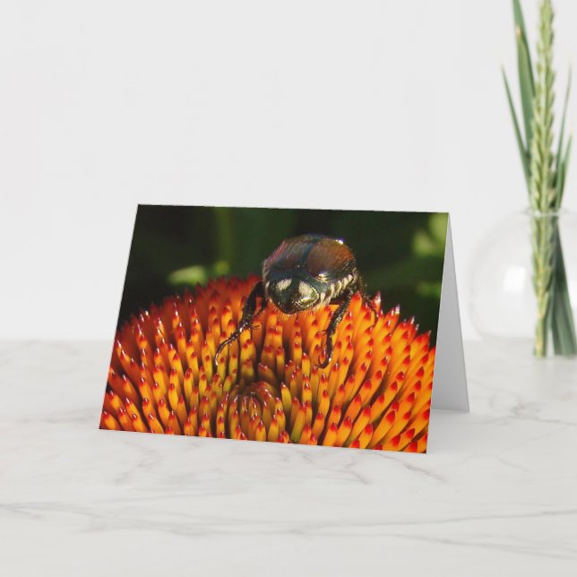 Cartão Inseto na ventoinha (Frente)