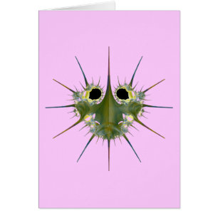 Cartão Inseto Nairo