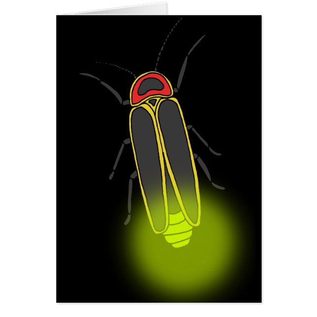 Cartão inseto relâmpago aceso (Frente)