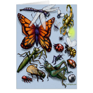 Cartão Insetos